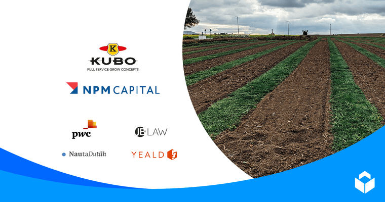 NPM Capital acquires minority stake in KUBO